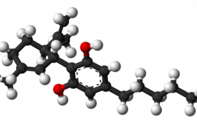 What are the differences between THC and CBD?