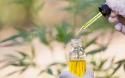 Wondering how to take CBD oil?